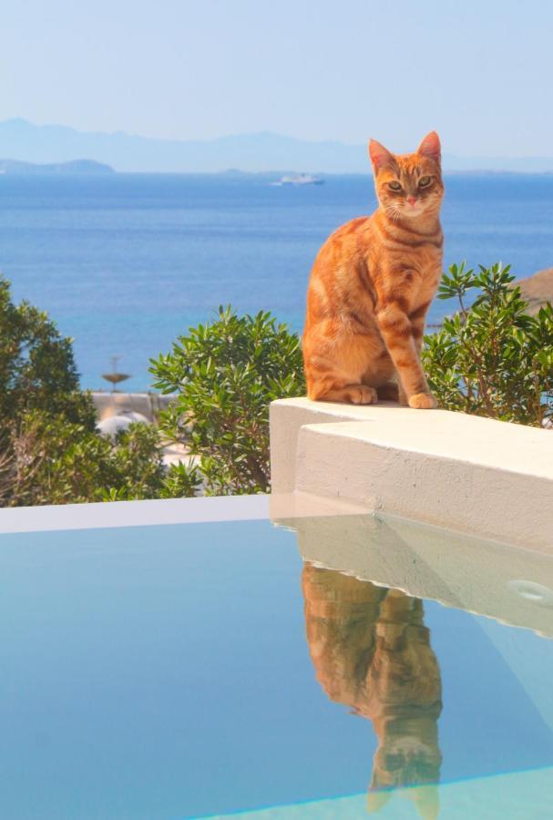 Villa With View Of Agios Ioannis And Pool With Jacuzzi Exterior foto